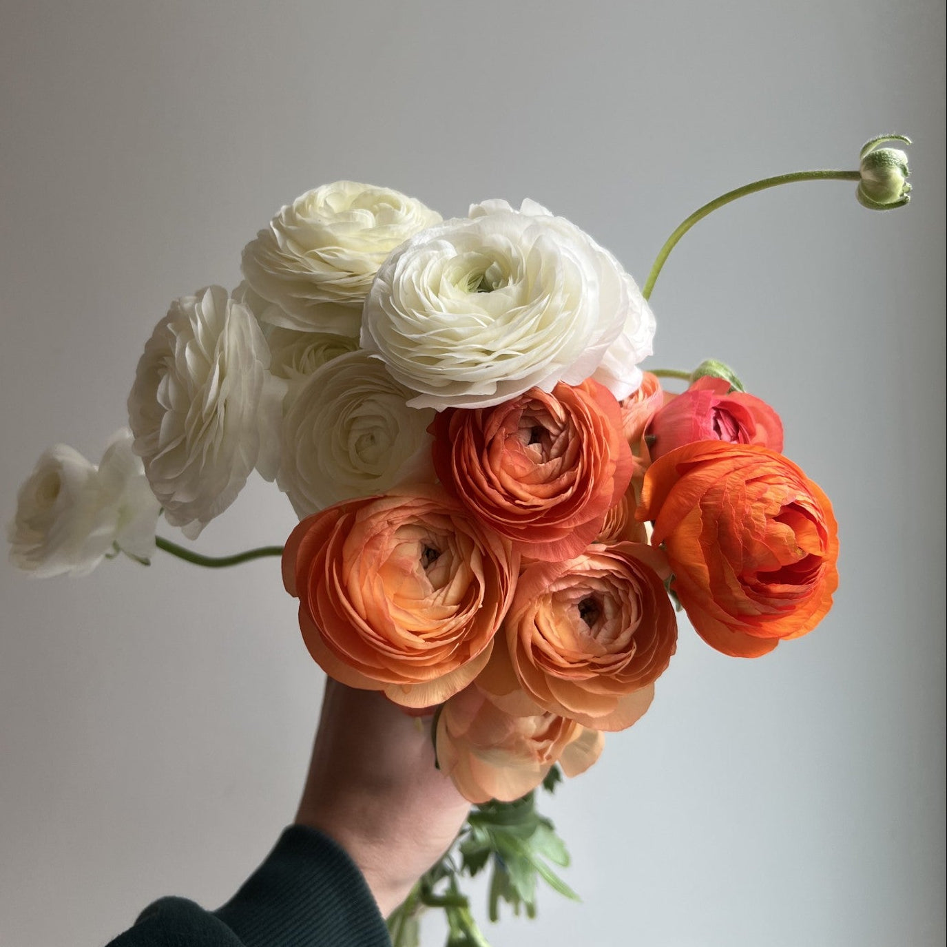 FLEURS D'ICI